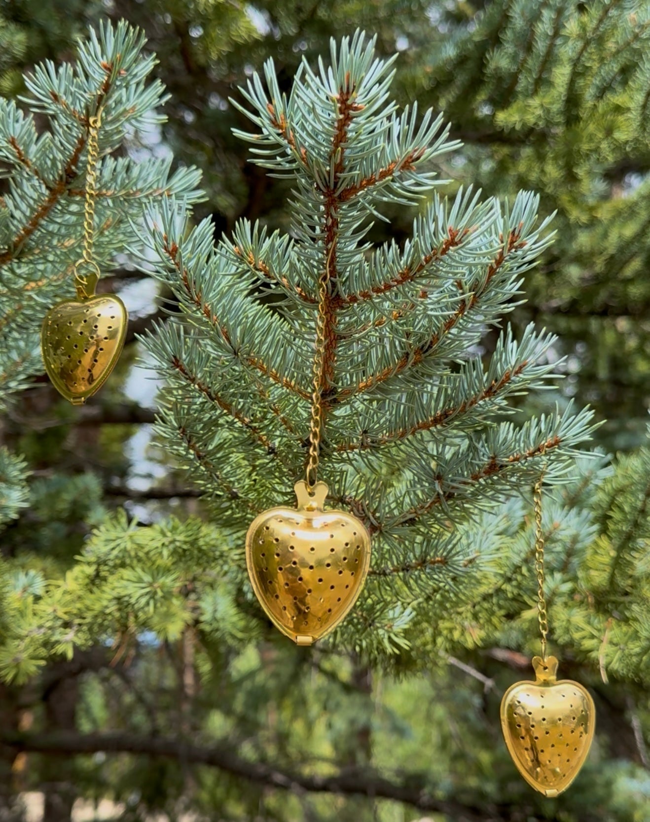 Stainless Steel Tea Infuser